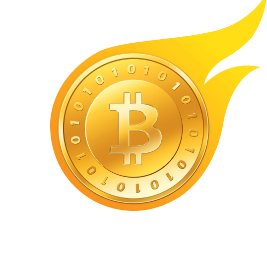 Bitcoin fake transaction